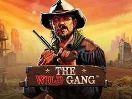 เดอะ ไวล์ด แก๊งค์ game thumbnail